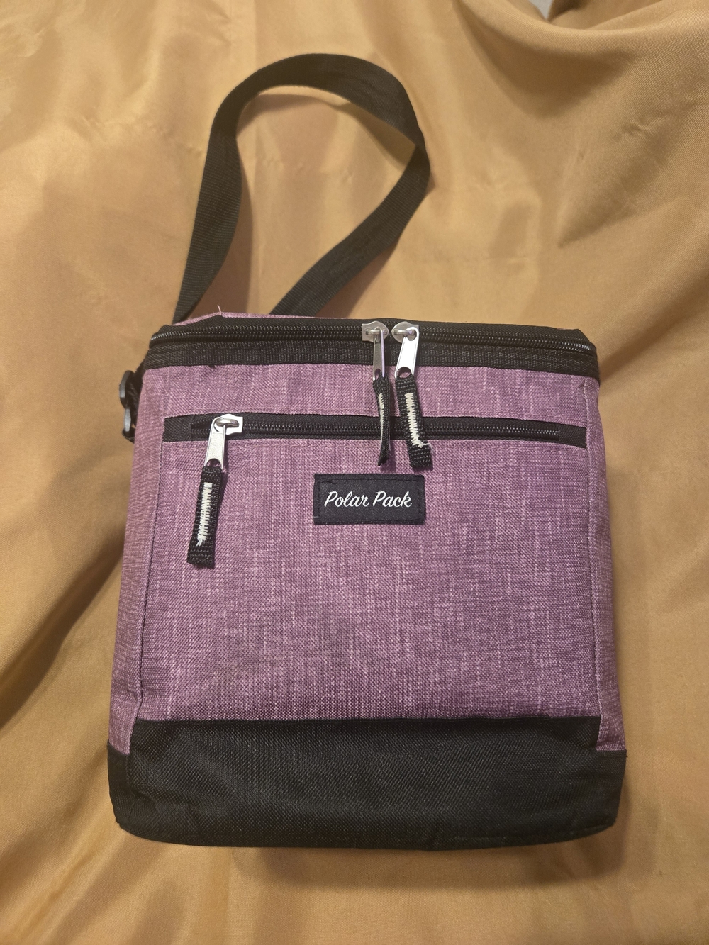 Womans Insulated Lunch  Bag